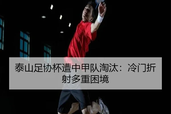 tai-shan-zu-xie-bei-zao-zhong-jia-dui-tao-tai-leng-men-zhe-she-duo-zhong-kun-jing-2-653.jpg